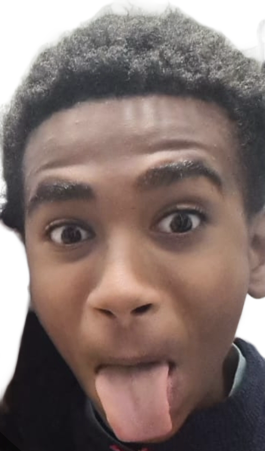 Brook Animut